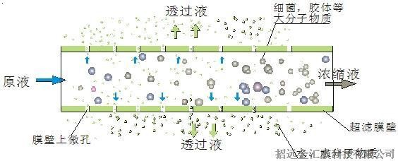 金汇超滤膜技术简介-过滤原理