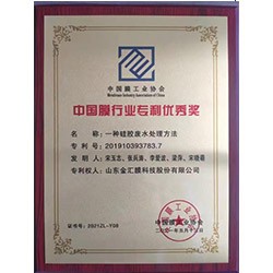中国膜行业专利优秀奖